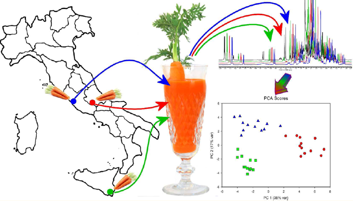 scheme of metabolomic analysis application