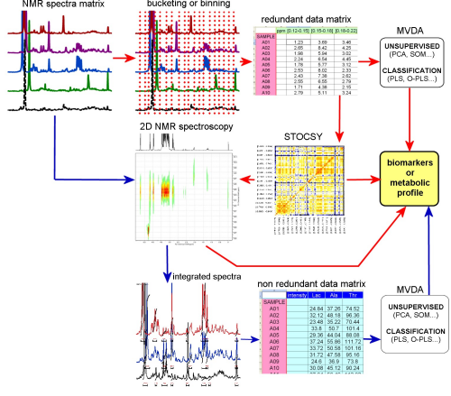 Scheme of data analysis for NMR-based metabolomics