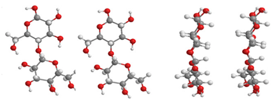 molecules