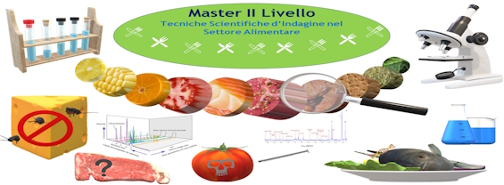 Master in Tecniche Scientifiche di Indagine nel Settore Alimentare