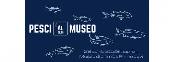 banner Pesci al museo