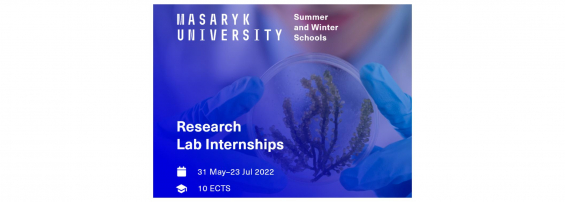 summer researcher lab internships square