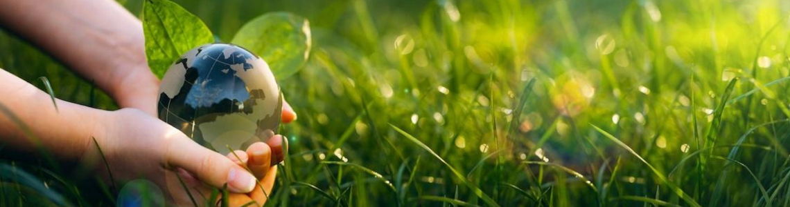 ambiente e biodiversità ambiente e biodiversità