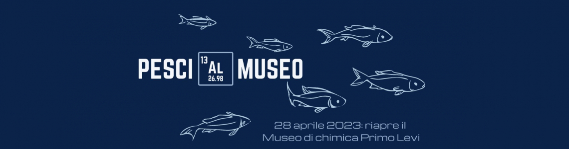 banner Pesci al museo