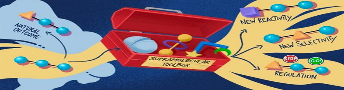 immagine tipo cartone animato che illustra una cassetta degli attrezzi supramolecolare
